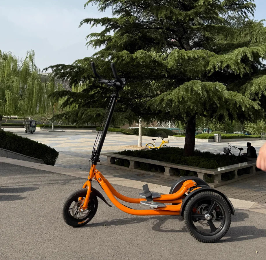 Velo Step Bike