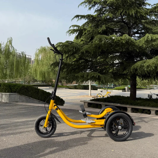 Velo Step Bike