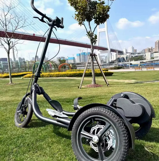 Velo Step Bike